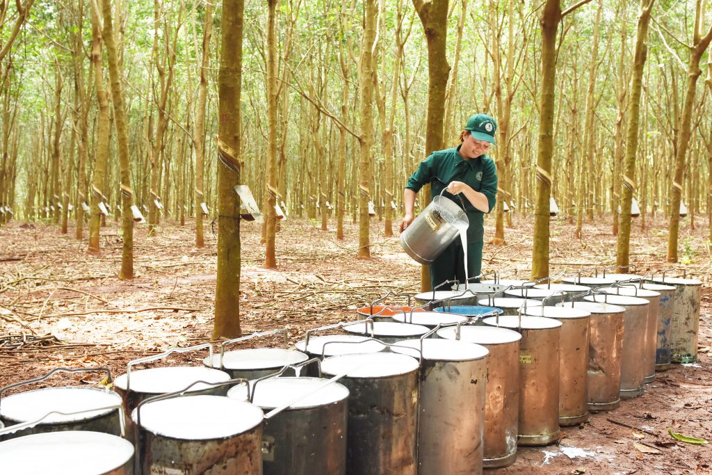 VRG được Thủ tướng trao tặng bằng khen vì có thành tích trong công tác phòng, chống dịch Covid-19