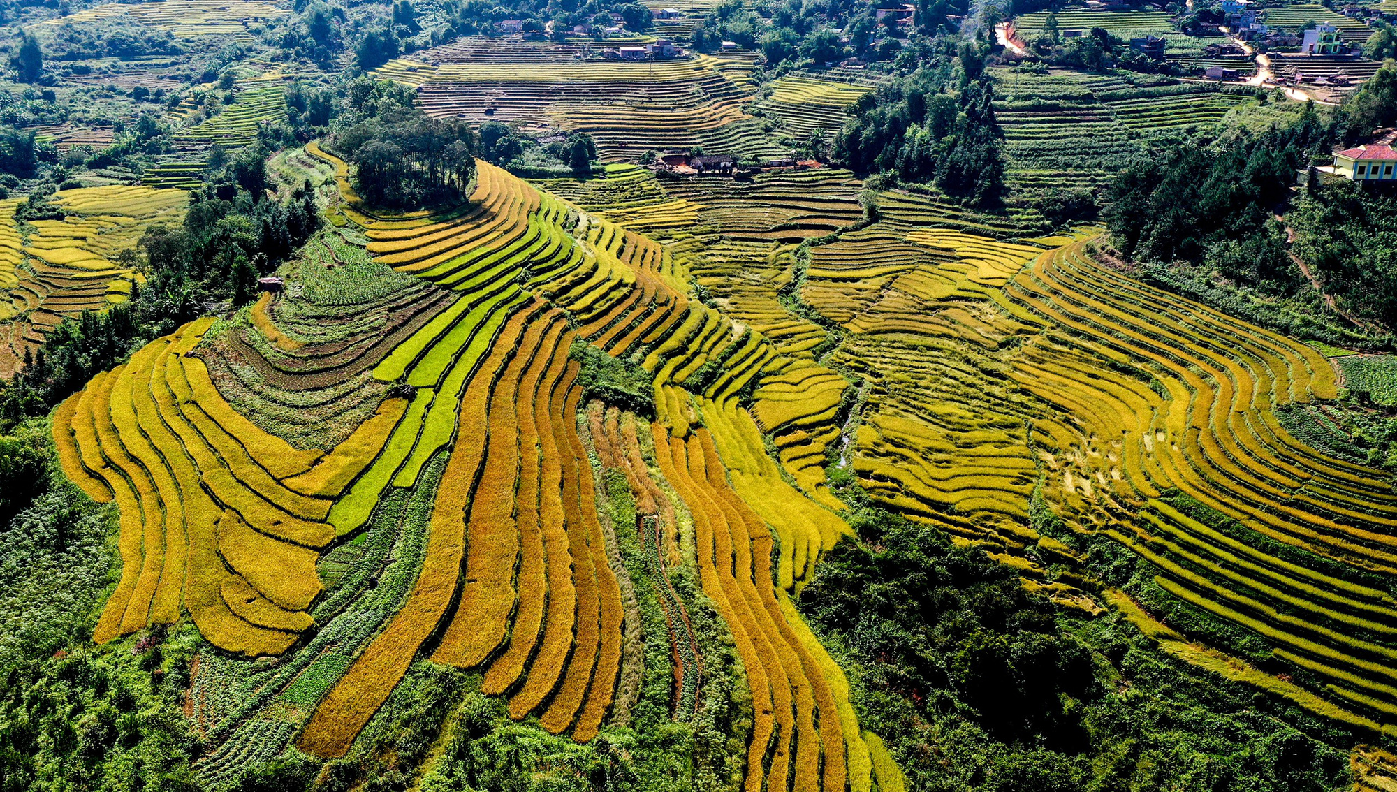 Du lịch Quảng Ninh - những tín hiệu hồi sinh - Ảnh 4.