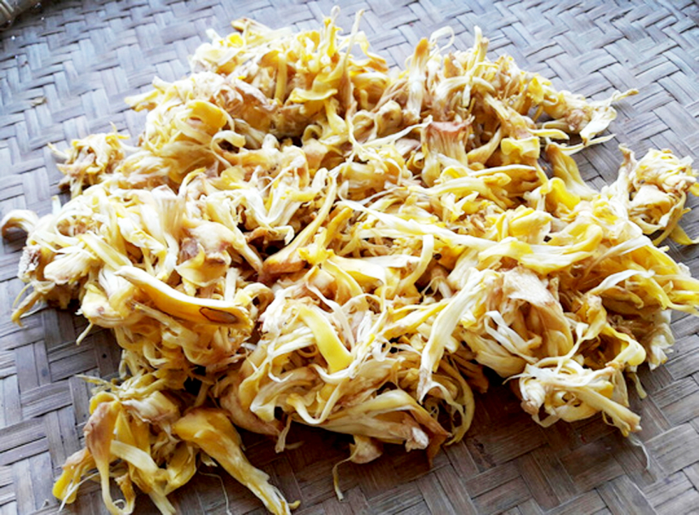 Dù chỉ là xơ mít