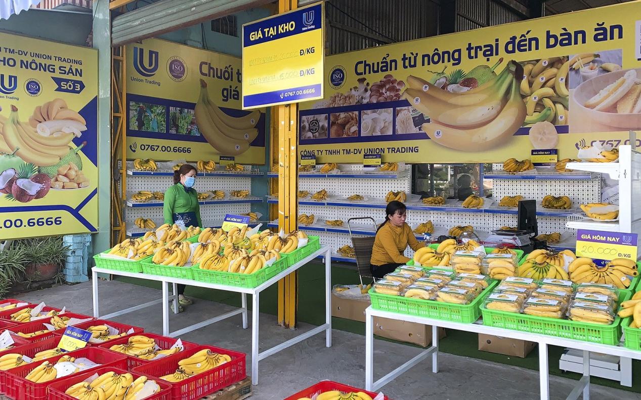 Union Trading hỗ trợ vốn, kỹ thuật cho n&ocirc;ng d&acirc;n miền Trung trồng chuối xuất khẩu - Ảnh 3.