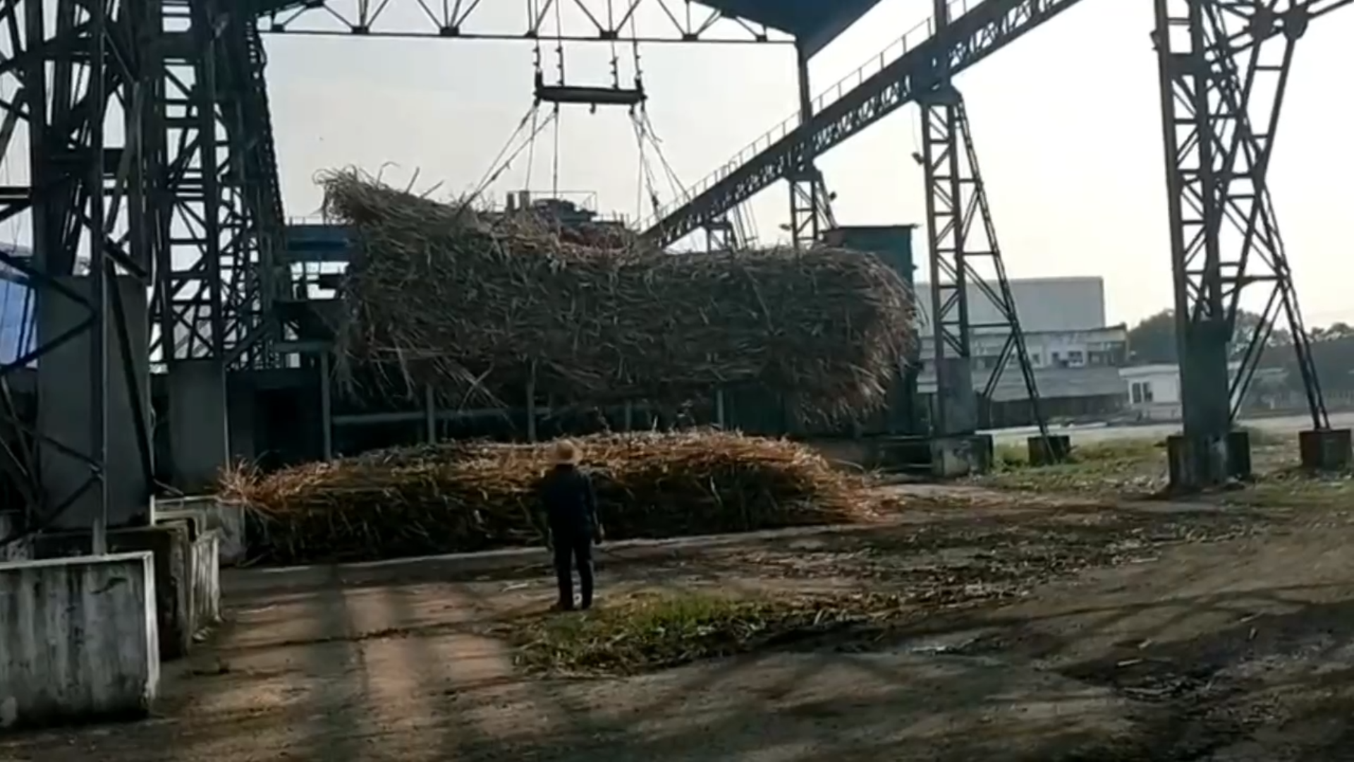 Mía đường trong cơn bão thị trường