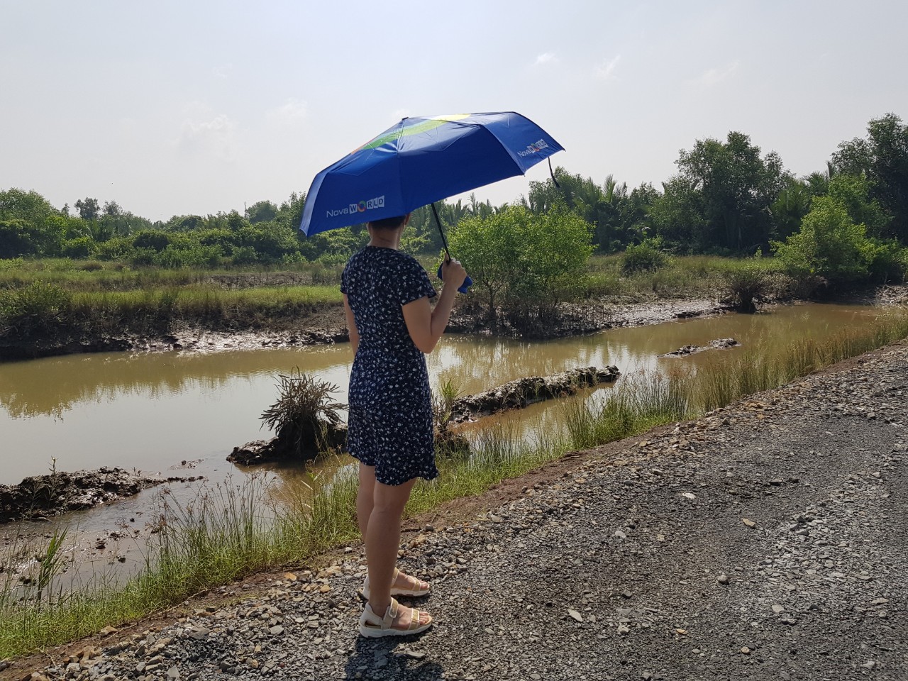 Đất Cần Giờ lại nóng - Ảnh 1.