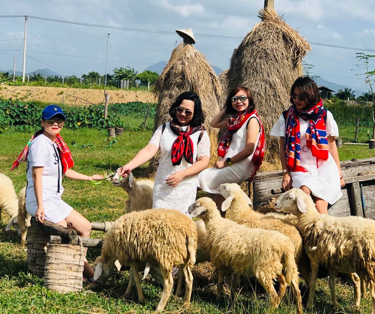 Bộ VH-TT-DL phát động chương trình du lịch nội địa an toàn, linh hoạt