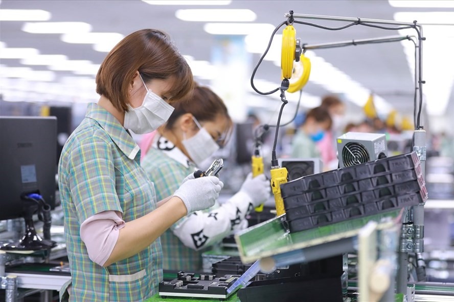 Lập nghiệp nơi quê nhà