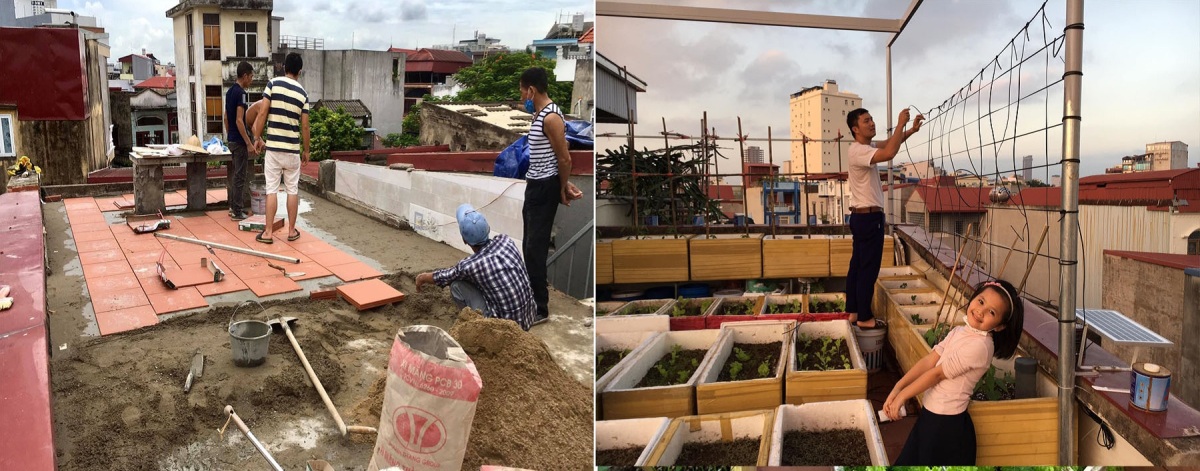 Dỡ mái nhà làm vườn - Ảnh 1. Dỡ mái nhà làm vườn - Ảnh 1.