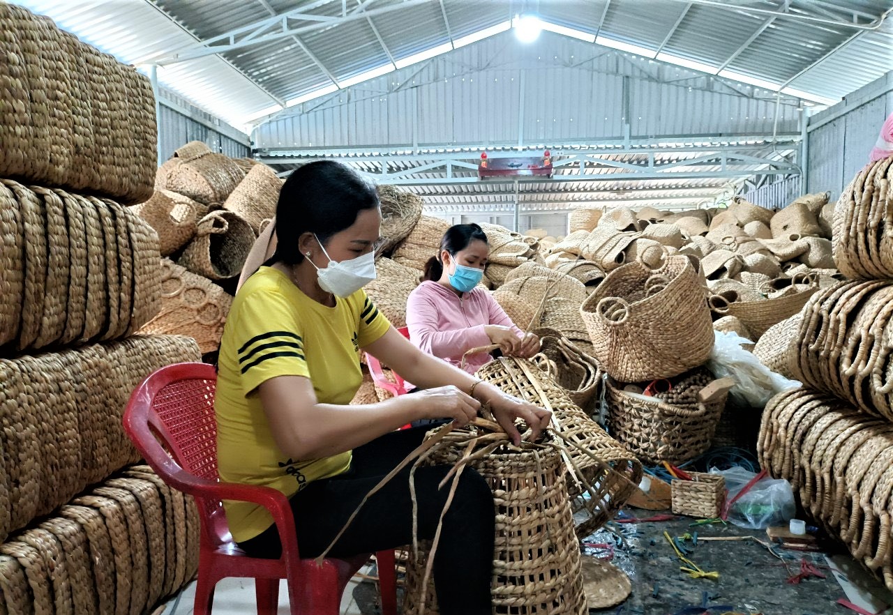Làm giàu từ lục bình, mây, tre