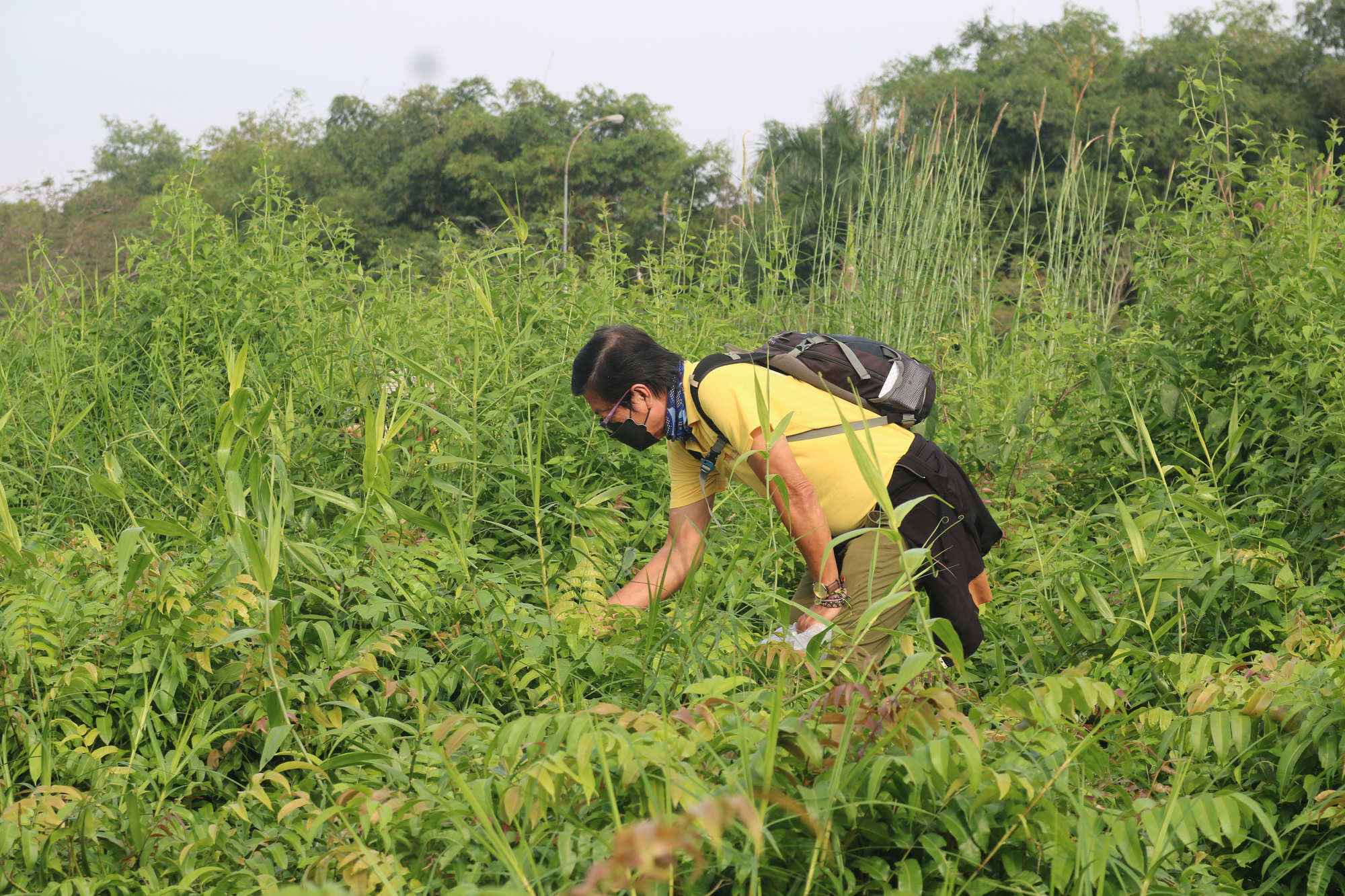 Bất ngờ tour du lịch &ldquo;B&igrave;nh Ch&aacute;nh - Những điều chưa kể&rdquo; - Ảnh 8.