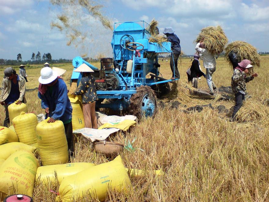 Agribank - điểm nhấn trong thành tựu nông nghiệp Việt Nam - Ảnh 1.