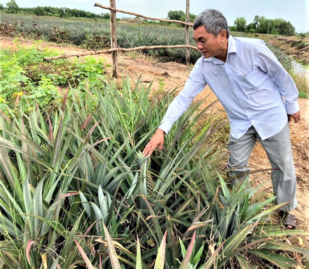 L&agrave;m gi&agrave;u tr&ecirc;n đất ph&egrave;n - Ảnh 2.