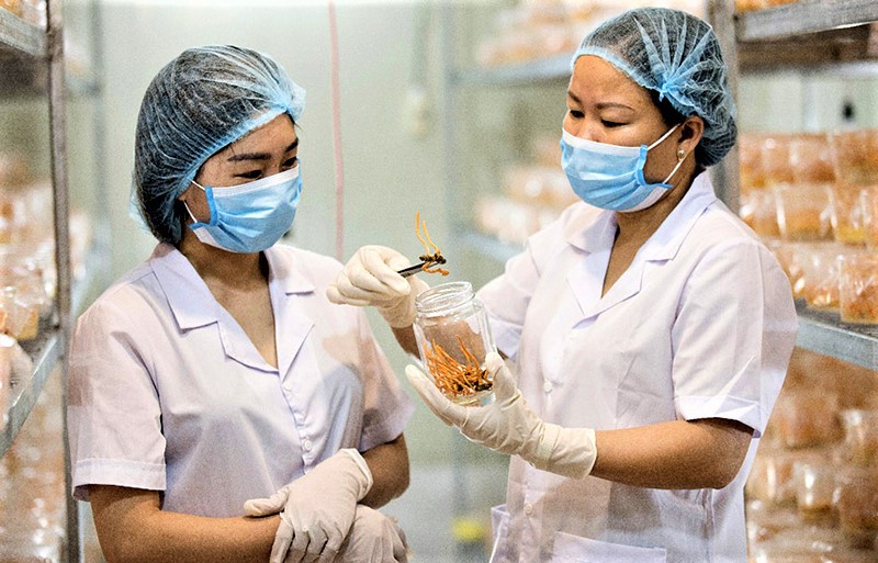 Thành nữ tỉ phú nhờ trồng nấm - Ảnh 2.