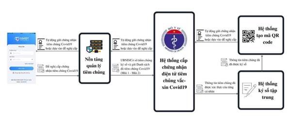 Việt Nam cấp hộ chiếu vắc-xin cho người tiêm đủ liều của 8 loại vắc-xin Covid-19 - Ảnh 2.