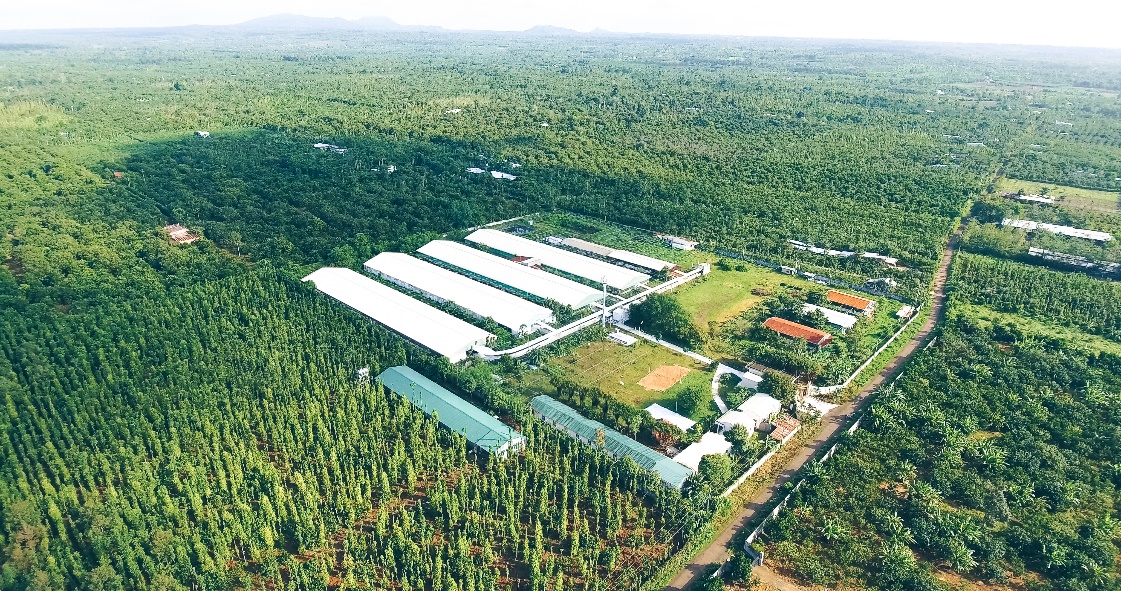 GREENFEED Việt Nam và hành trình “Nuôi dưỡng điều lành, đồng hành lớn mạnh” với chuỗi thực phẩm lành 3F plus - Ảnh 1.