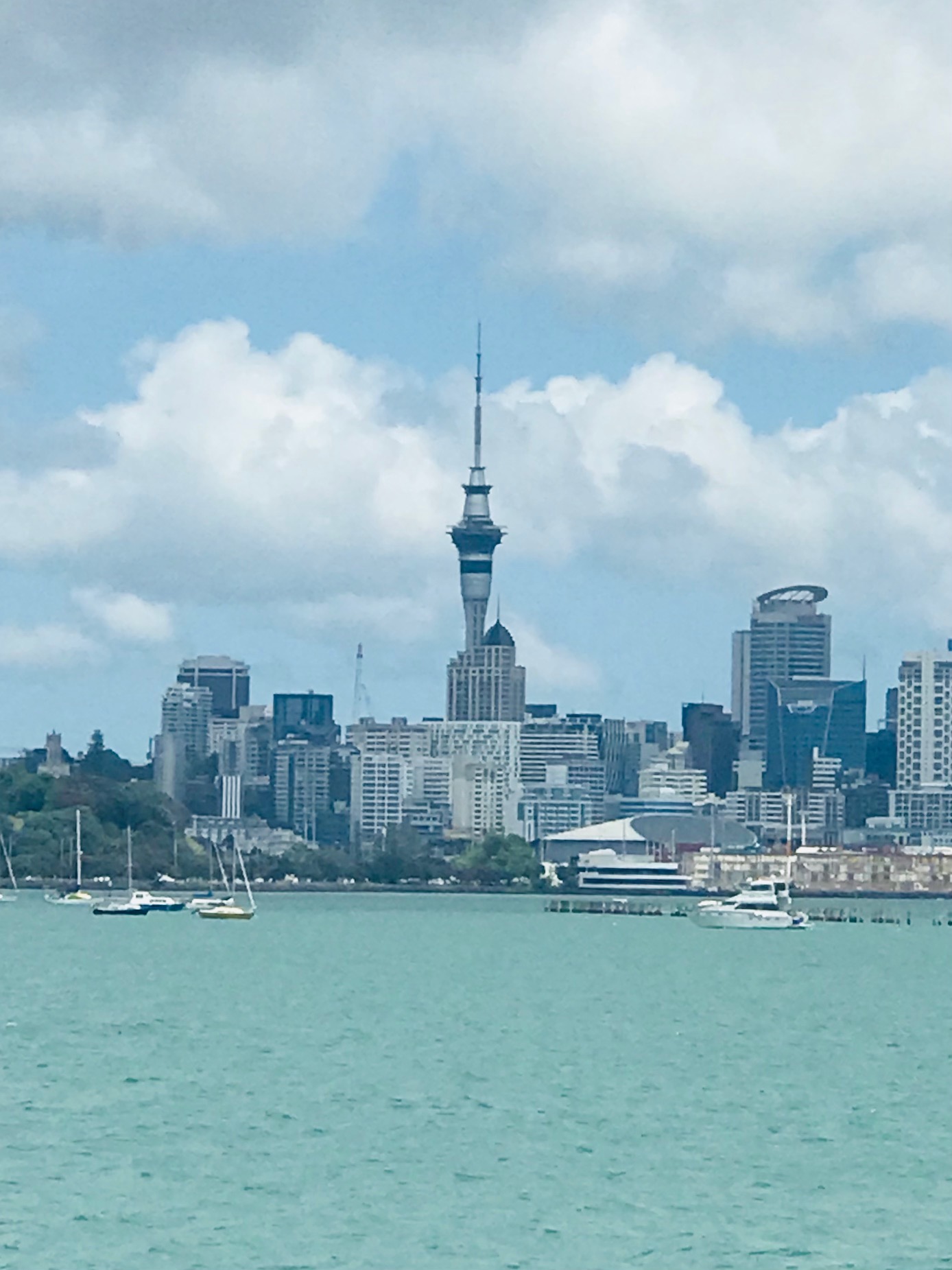 Thư từ New Zealand: Sau cơn mưa lại có cầu vồng! - Ảnh 3.