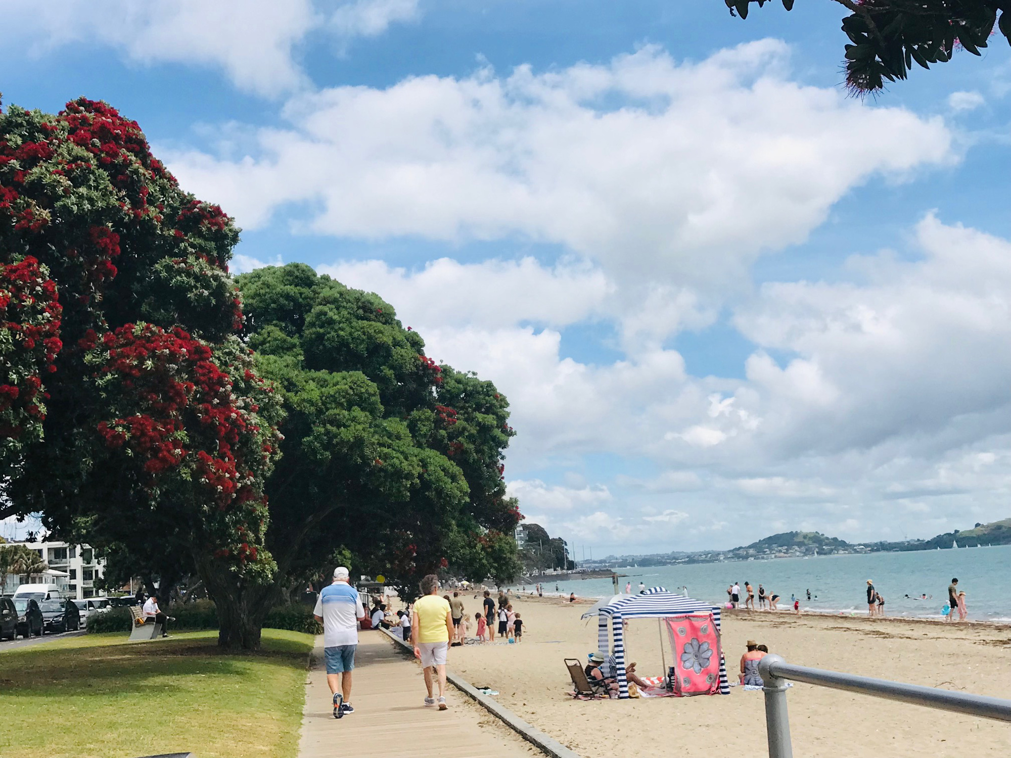 Thư từ New Zealand: Sau cơn mưa lại có cầu vồng! - Ảnh 4.