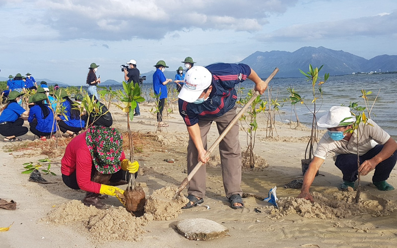 Phú Yên sẽ thu hồi đất lấn chiếm để trồng rừng ven biển