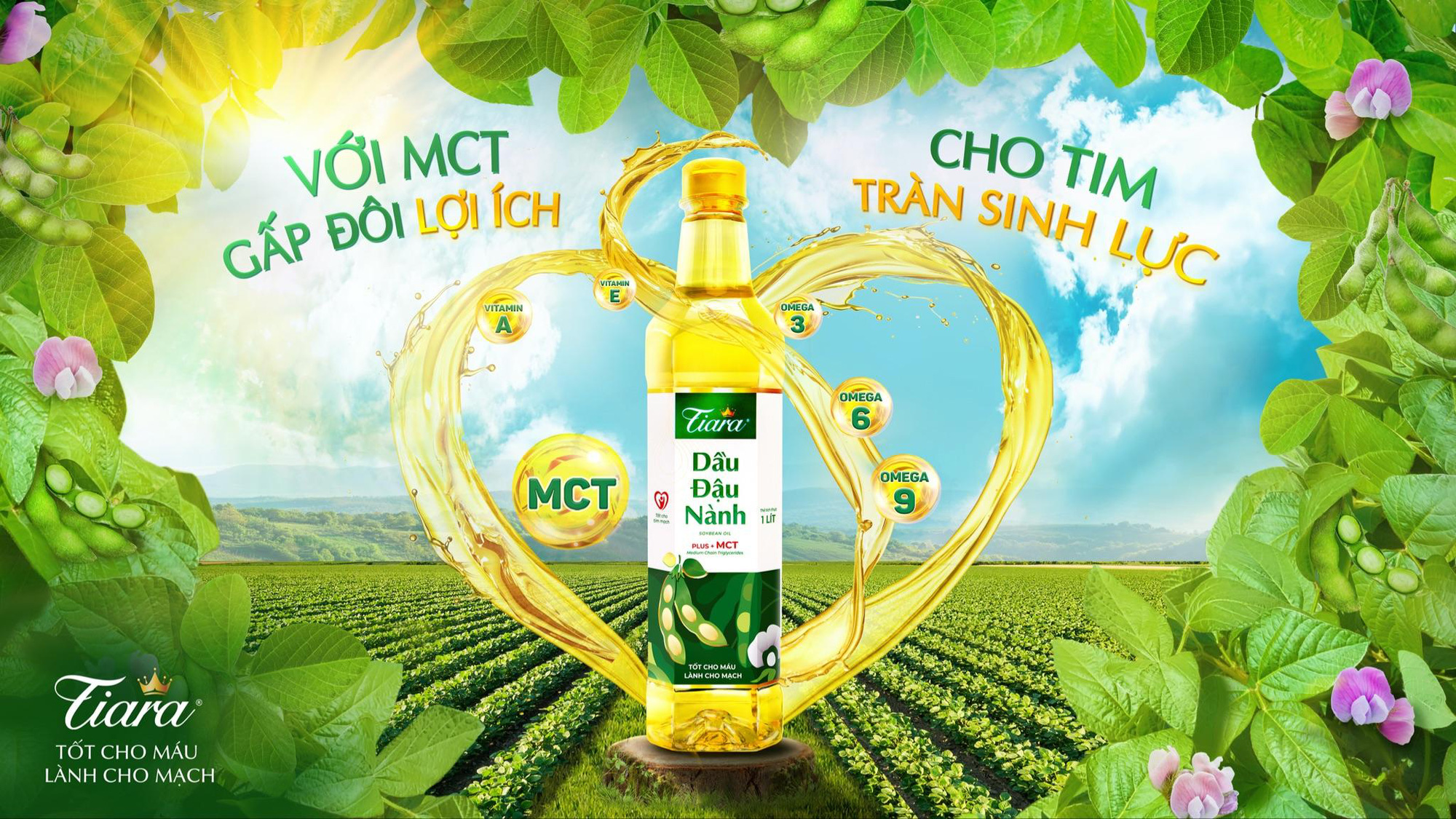 Xu hướng sử dụng dầu ăn chứa MCT trong bữa ăn gia đình