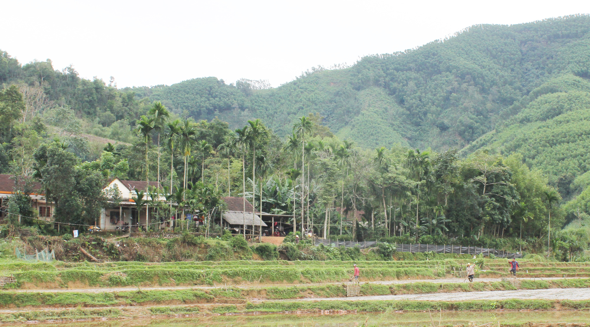 Tình người Hà Liệt