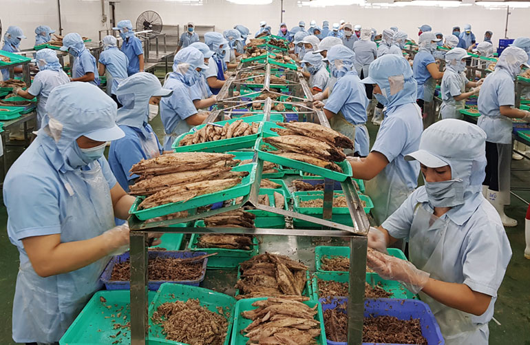 Phú Yên tìm giải pháp giải quyết việc làm cho hơn 60.000 lao động