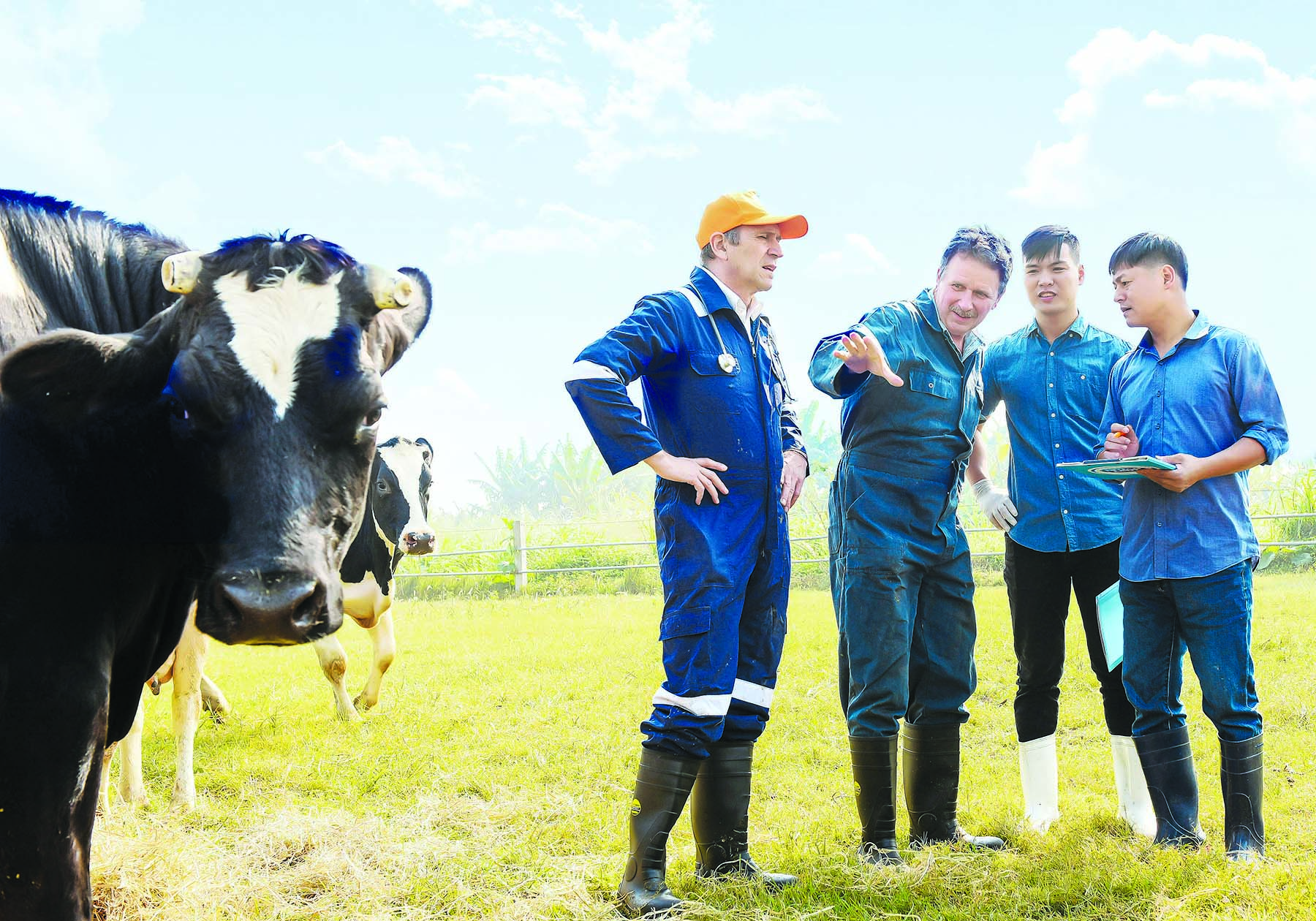 Giám đốc Tiếp thị Tập đoàn FrieslandCampina Việt Nam: Thành công nhờ thấu hiểu khách hàng, sản phẩm vượt trội - Ảnh 5.