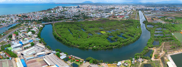 Rừng xanh giữa lòng phố biển