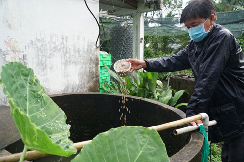 Kỳ công nhân giống cá