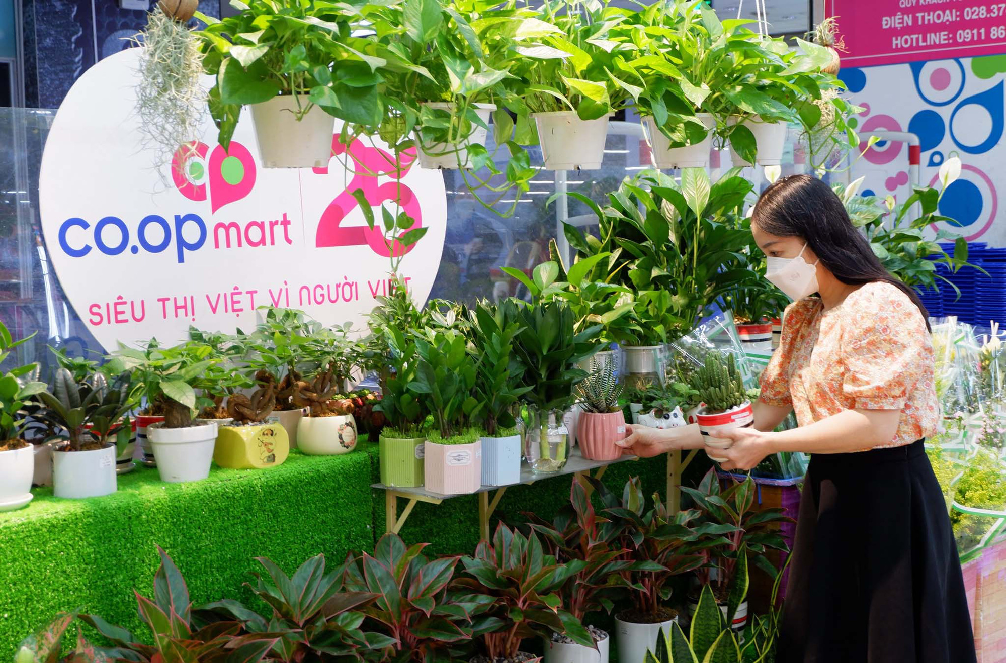 Hàng Tết lên kệ sớm - Ảnh 2.