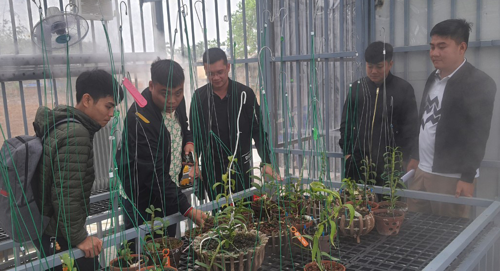 Thực hư lan đột biến giá 250 tỉ đồng