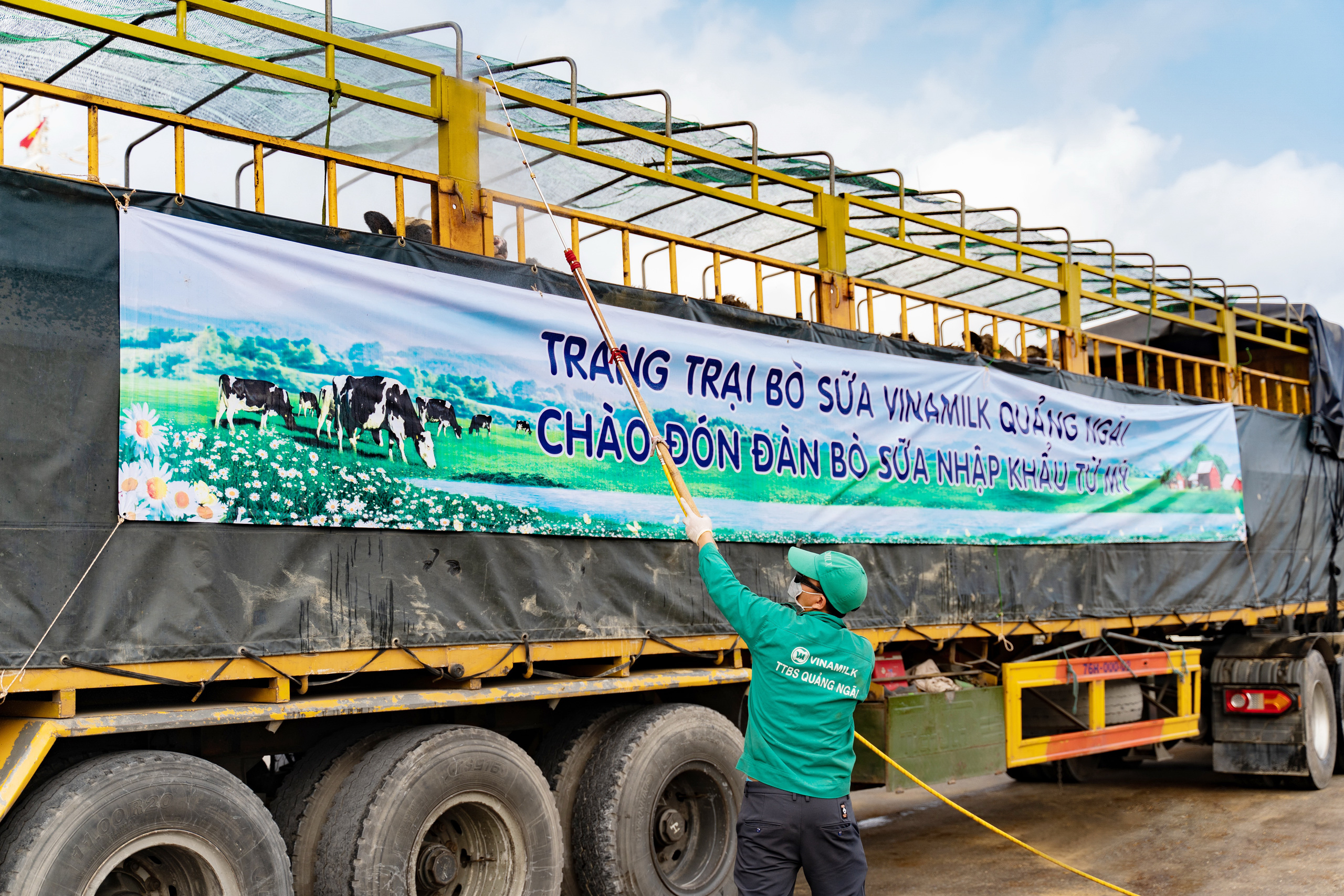 Vinamilk nhập khẩu hơn 2.100 b&ograve; sữa HF thuần chủng từ Mỹ về trang trại mới tại Quảng Ng&atilde;i - Ảnh 3.