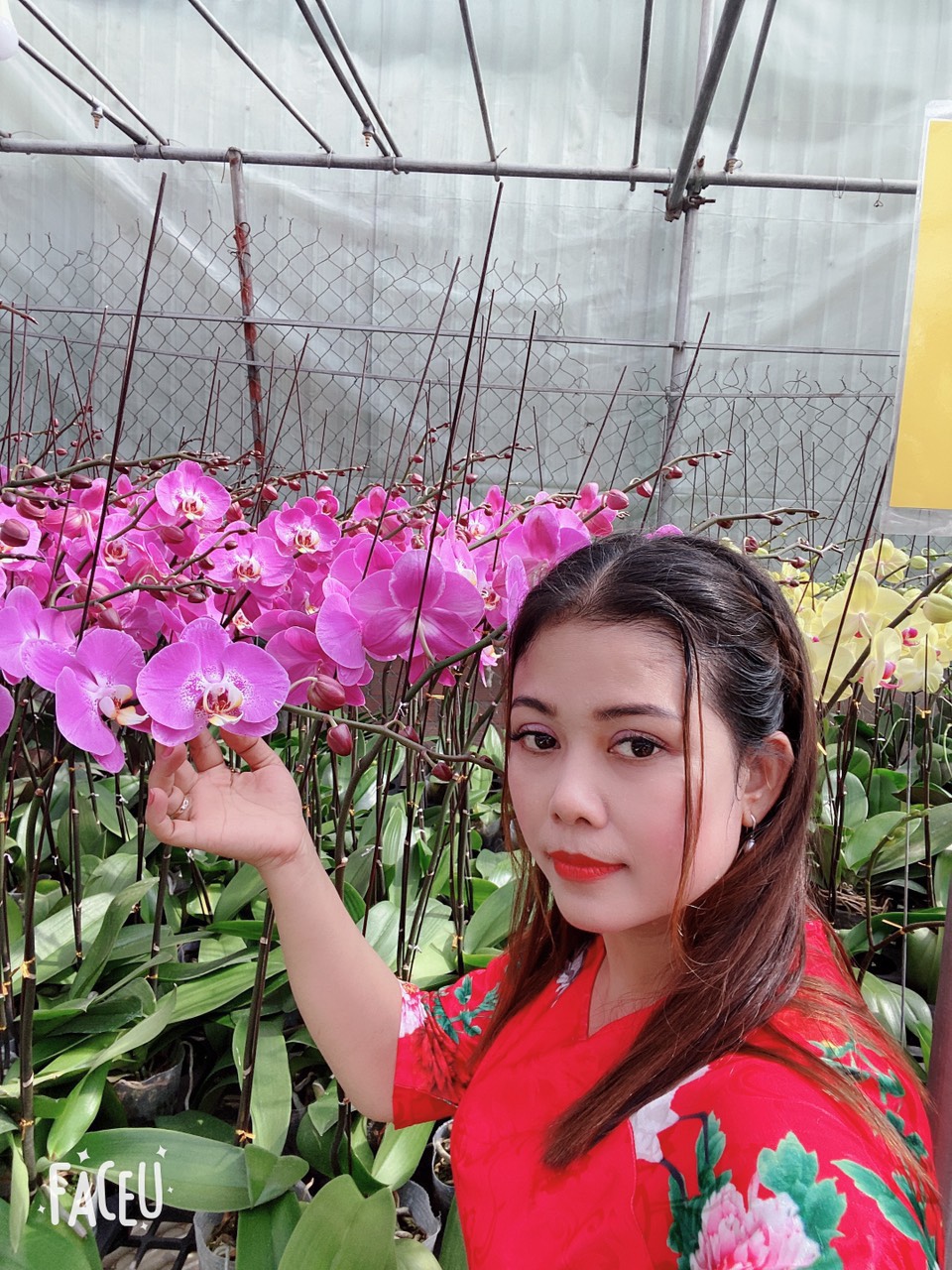 Chủ vườn lan Hằng Nguyễn: Từ bỏ nghiệp giáo để lập nghiệp với hoa lan