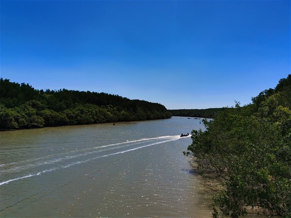 Môi trường không phải để nhà đầu tư xài miễn phí! - Ảnh 2.