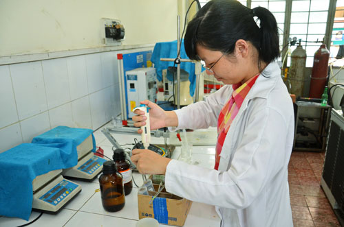 Băn khoăn tư nhân kiểm định chất lượng giáo dục - Ảnh 1.