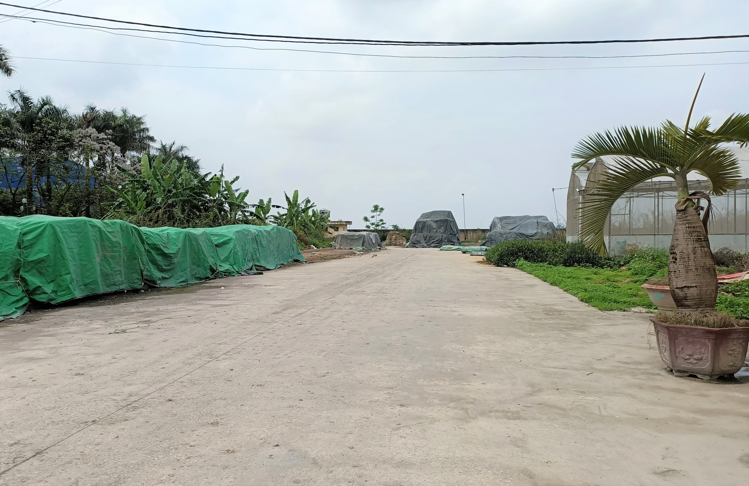 Vụ Trung t&acirc;m n&ocirc;ng nghiệp 17 tỉ đồng để l&agrave;m... cảnh ở Thanh H&oacute;a: Trần t&igrave;nh của đơn vị quản l&yacute; - Ảnh 2.