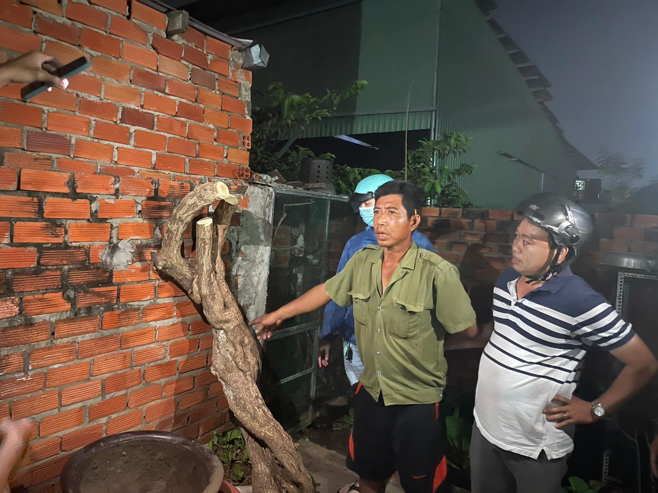 Kẻ cưa trộm cây hoa giấy nổi tiếng nhất Vũng Tàu là ai?