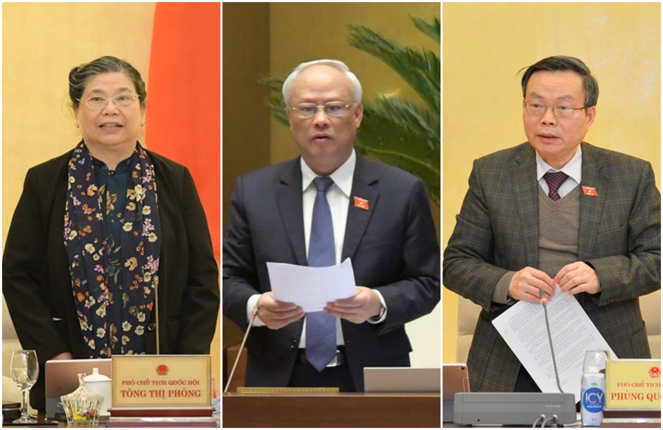Trình Quốc hội miễn nhiệm 3 Phó Chủ tịch Tòng Thị Phóng, Uông Chu Lưu, Phùng Quốc Hiển