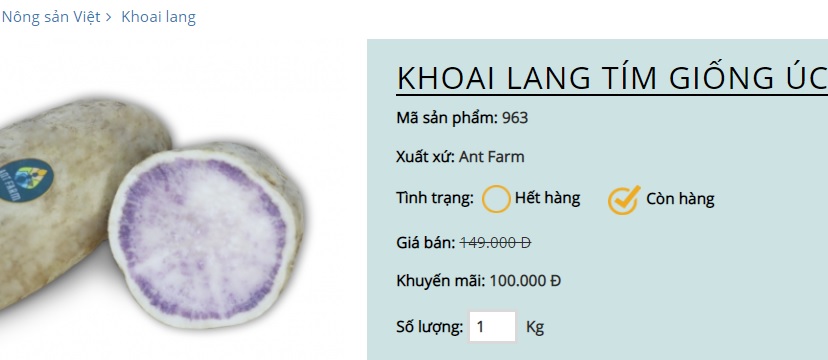 Khuyến m&atilde;i s&acirc;u, khoai lang t&iacute;m &Uacute;c vẫn c&oacute; gi&aacute; 100.000 đồng/kg - Ảnh 3.