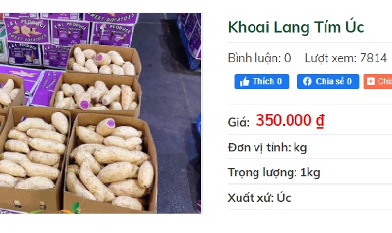 Khuyến m&atilde;i s&acirc;u, khoai lang t&iacute;m &Uacute;c vẫn c&oacute; gi&aacute; 100.000 đồng/kg - Ảnh 1.