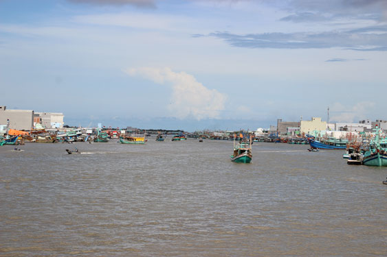 Đại lý không được thu mua hải sản khai thác bất hợp pháp - Ảnh 1.