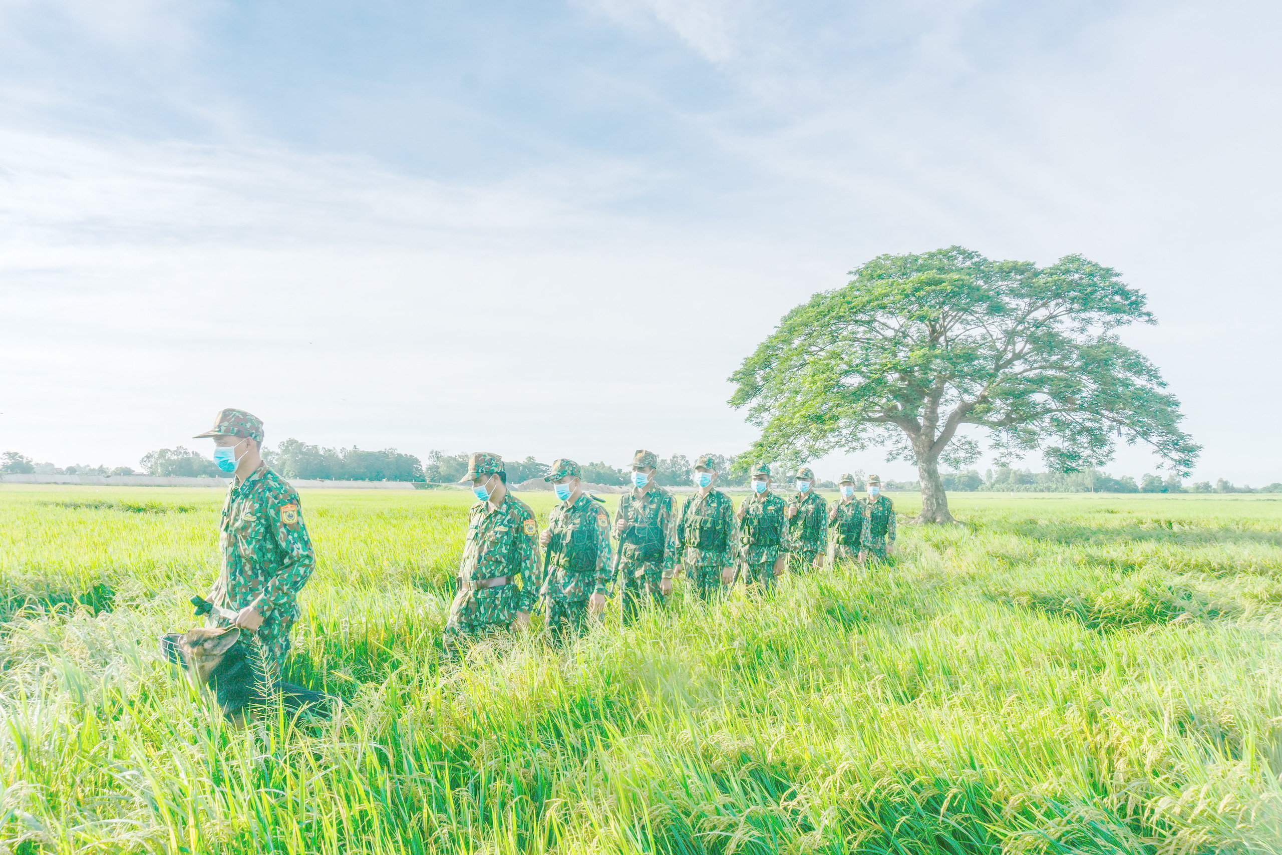 Chặn dịch từ biên giới