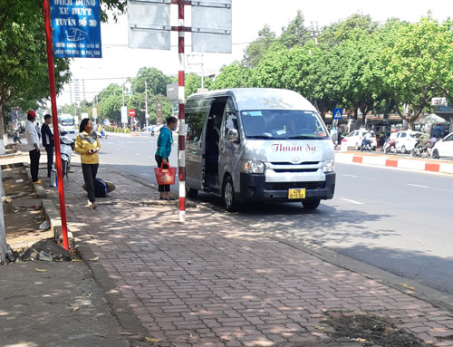 Xe dù, bến cóc lộng hành ở Tây Nguyên - Ảnh 2.