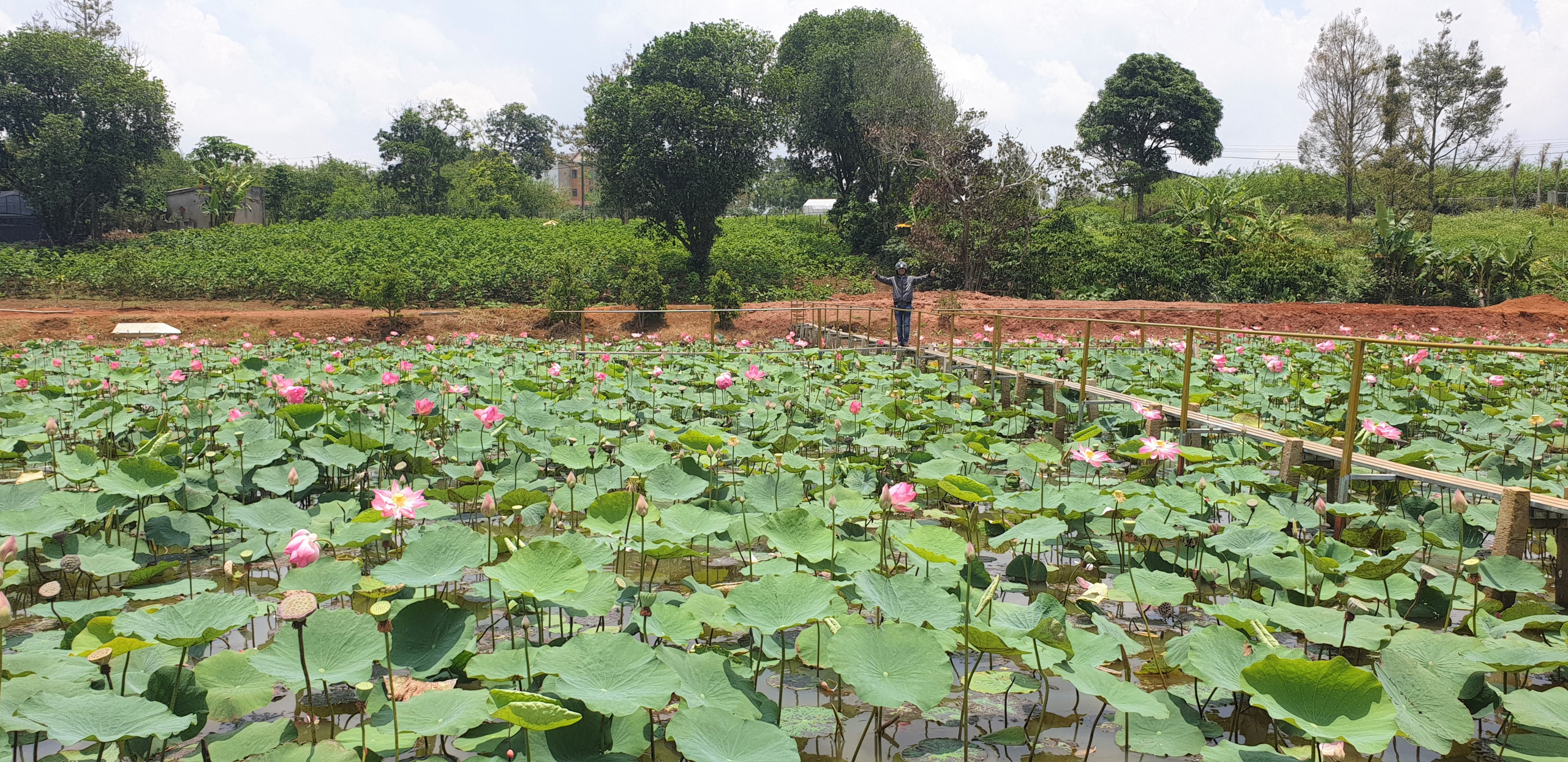 Họp kiểm điểm lãnh đạo TP Bảo Lộc vì bát nháo biệt thự khủng, phân lô bán nền... - Ảnh 9.