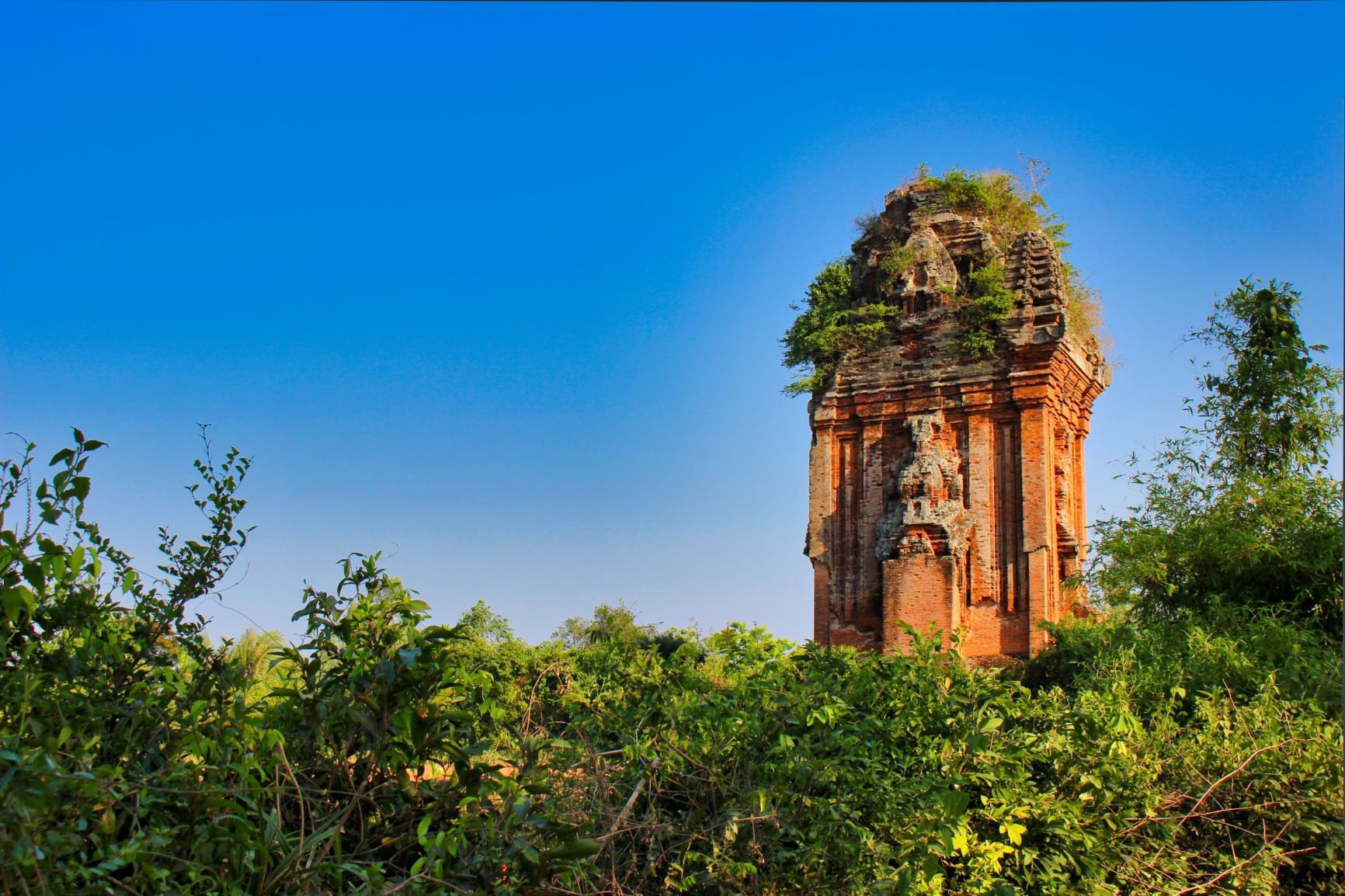 Mê hoặc tháp Chăm Bình Định - Ảnh 4.