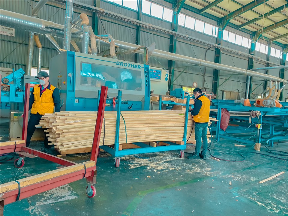 Lao động Việt Nam ở Hàn Quốc mong được về quê hương - Ảnh 2.
