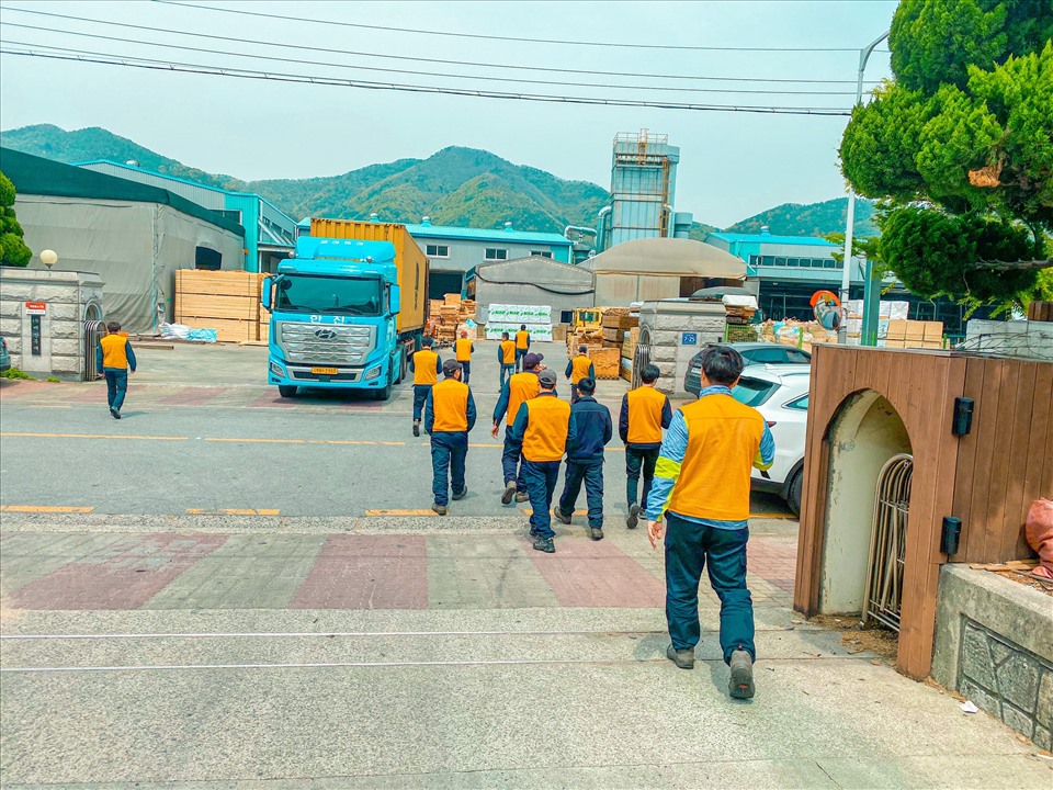 Lao động Việt Nam ở Hàn Quốc mong được về quê hương - Ảnh 3.