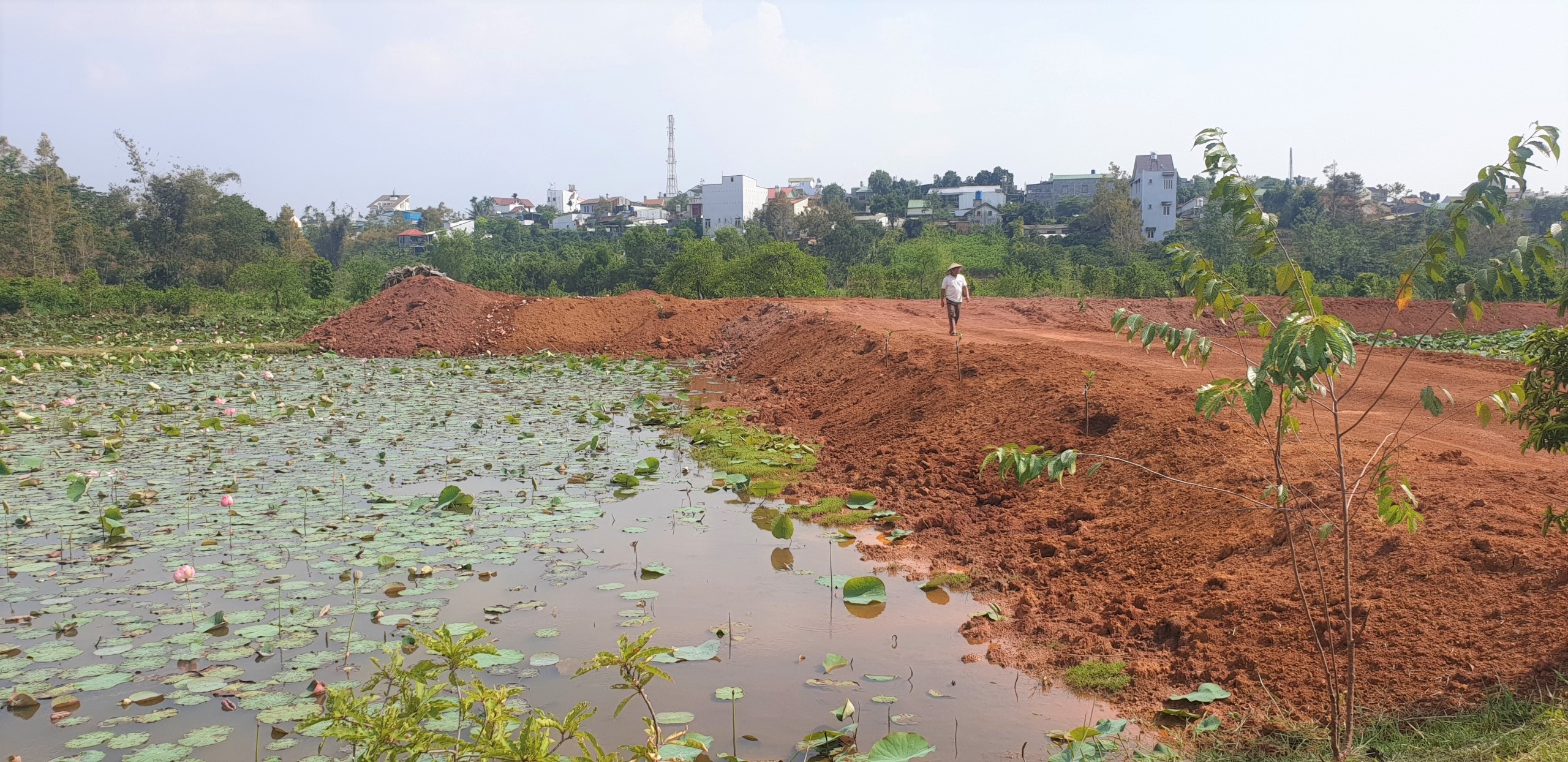 Họp kiểm điểm lãnh đạo TP Bảo Lộc vì bát nháo biệt thự khủng, phân lô bán nền... - Ảnh 10.