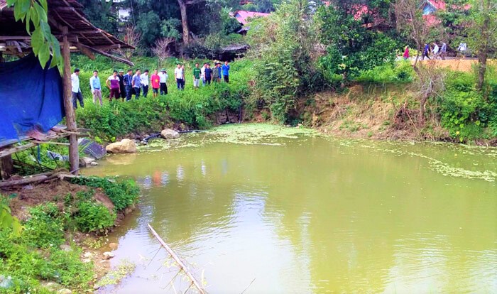 Bố mẹ vắng nhà, 2 chị em rơi xuống ao chết đuối thương tâm