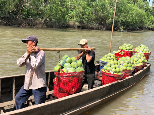 Đòn bẩy cho xuất khẩu nông sản