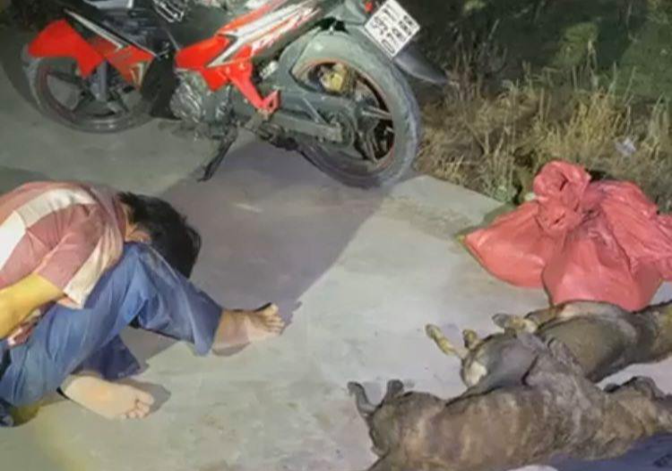 Người dân truy đuổi “cẩu tặc” như phim hành động lúc rạng sáng