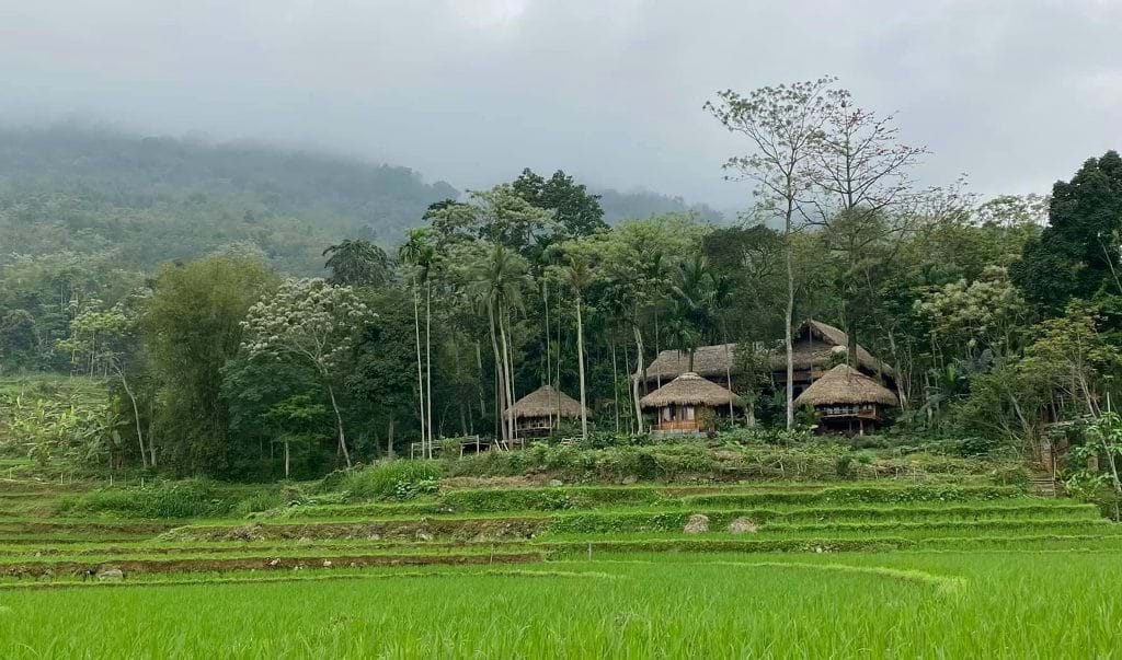 Lụa Pù Luông - Ảnh 1.