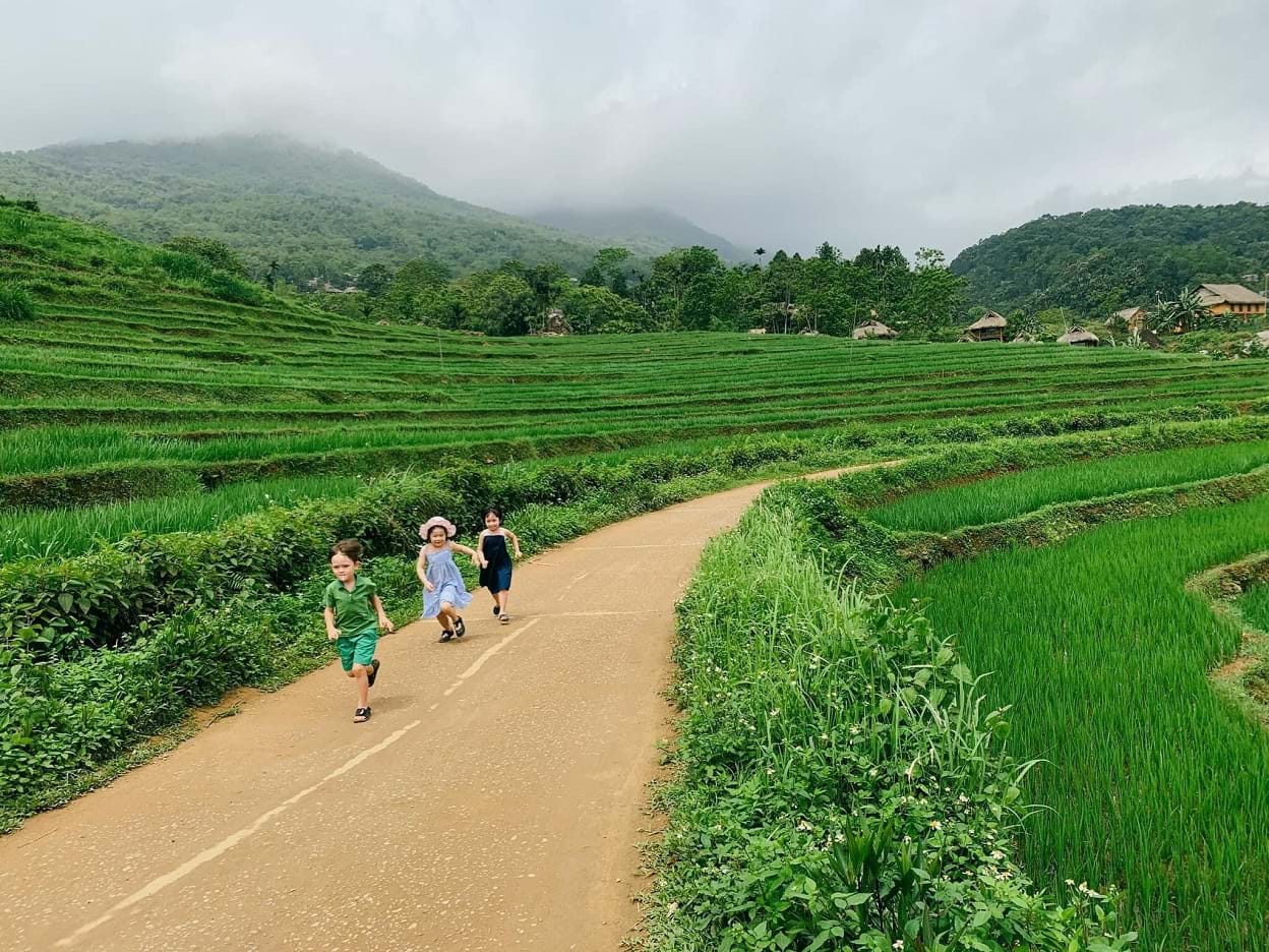 Lụa Pù Luông - Ảnh 2.