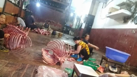 Ám ảnh những tiếng kêu la trong đêm từ lò mổ hoạt động trái phép giữa khu dân cư
